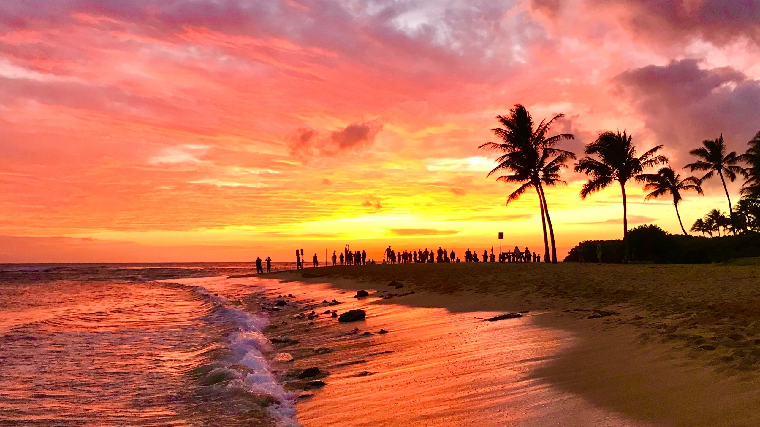 How Much It Costs To Buy a Slice of Paradise at the Best Beaches of 2026