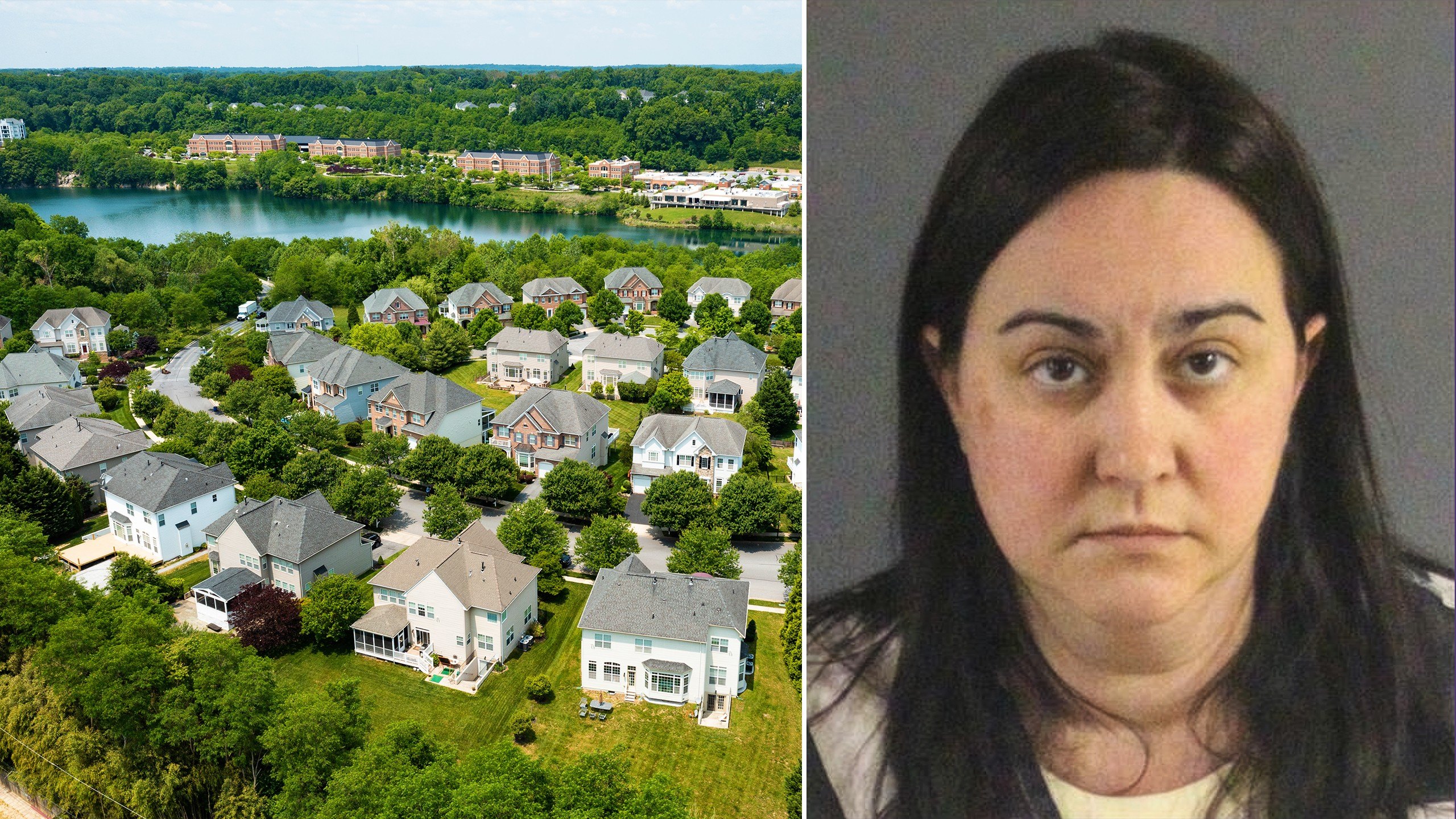 HOA Ponzi Scheme Mastermind Gets Prison for Blowing Resident Dues on European Vacation